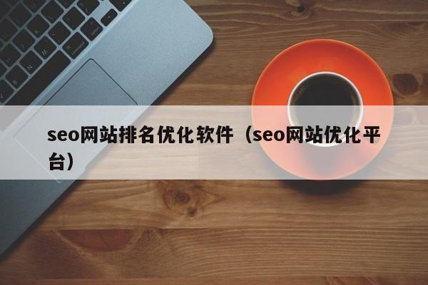 seo网站排名优化软件(seo网站优化平台)