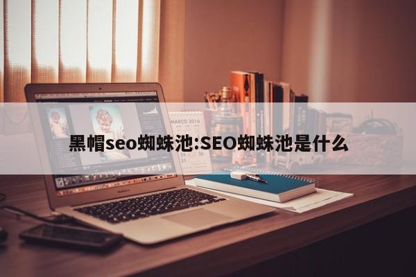 黑帽seo蜘蛛池:SEO蜘蛛池是什么
