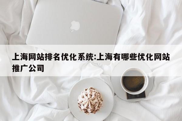 上海网站排名优化系统:上海有哪些优化网站推广公司
