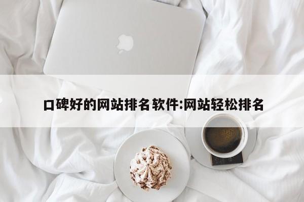 口碑好的网站排名软件:网站轻松排名