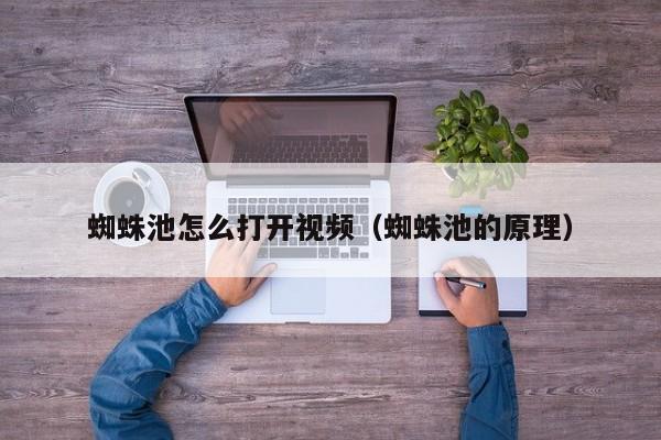 蜘蛛池怎么打开视频(蜘蛛池的原理)