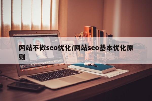 网站不做seo优化/网站seo基本优化原则